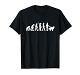 Evolución border collie Camiseta