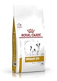 RoyalCanin Urinary S/O Small Dog 4 kg | Pienso Renal para Perros Adultos de Razas Pequeñas con...