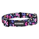 KISSBAK Collar Perros para Perros medianos - Diseño Especial, Lindo Collar para Perros pequeños,...
