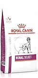 ROYAL CANIN Veterinary Renal Special | 2 kg | Alimento dietético completo para perros adultos |...