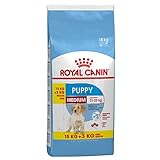 Royal Canin Medium Junior 15+3kg