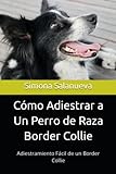 Cómo Adiestrar a Un Perro de Raza Border Collie: Adiestramiento Fácil de un Border Collie