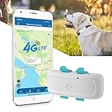 Collar GPS Perros 4G Sin Subscripción con Seguimiento en Vivo Localizador GPS Perros con Alarma de...