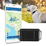 4G Collar GPS Perros de Caza Sin Suscripción 3000mAH Rastreador GPS Perros a Prueba de Agua con...