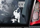 Sticker International Border Collie - Pegatina de Coche - Perro Signo Ventana, Parachoques Forma...
