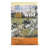 Taste Of The Wild pienso para cachorros con Bisonte y Venado asados 2kg High prairie puppy